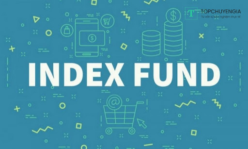 đầu tư index fund là gì